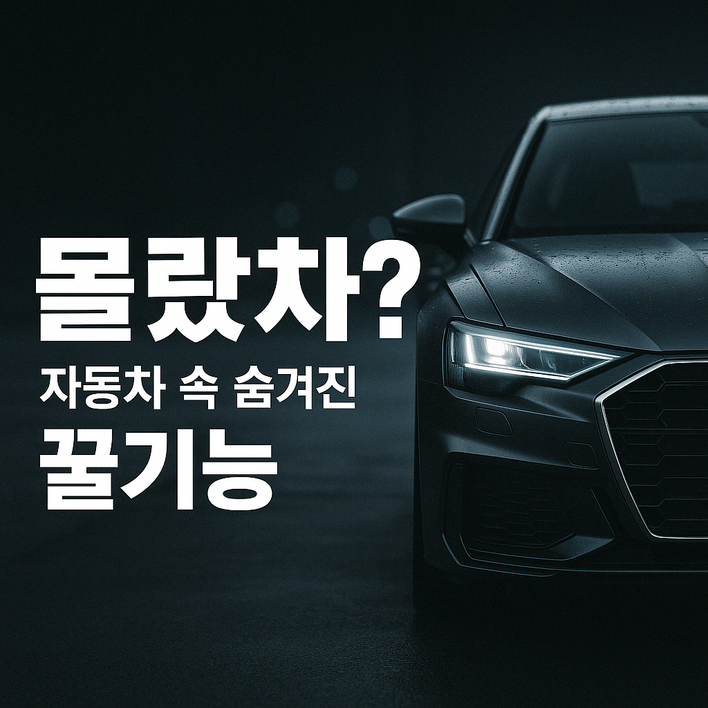 운전자 꿀팁 아카이브